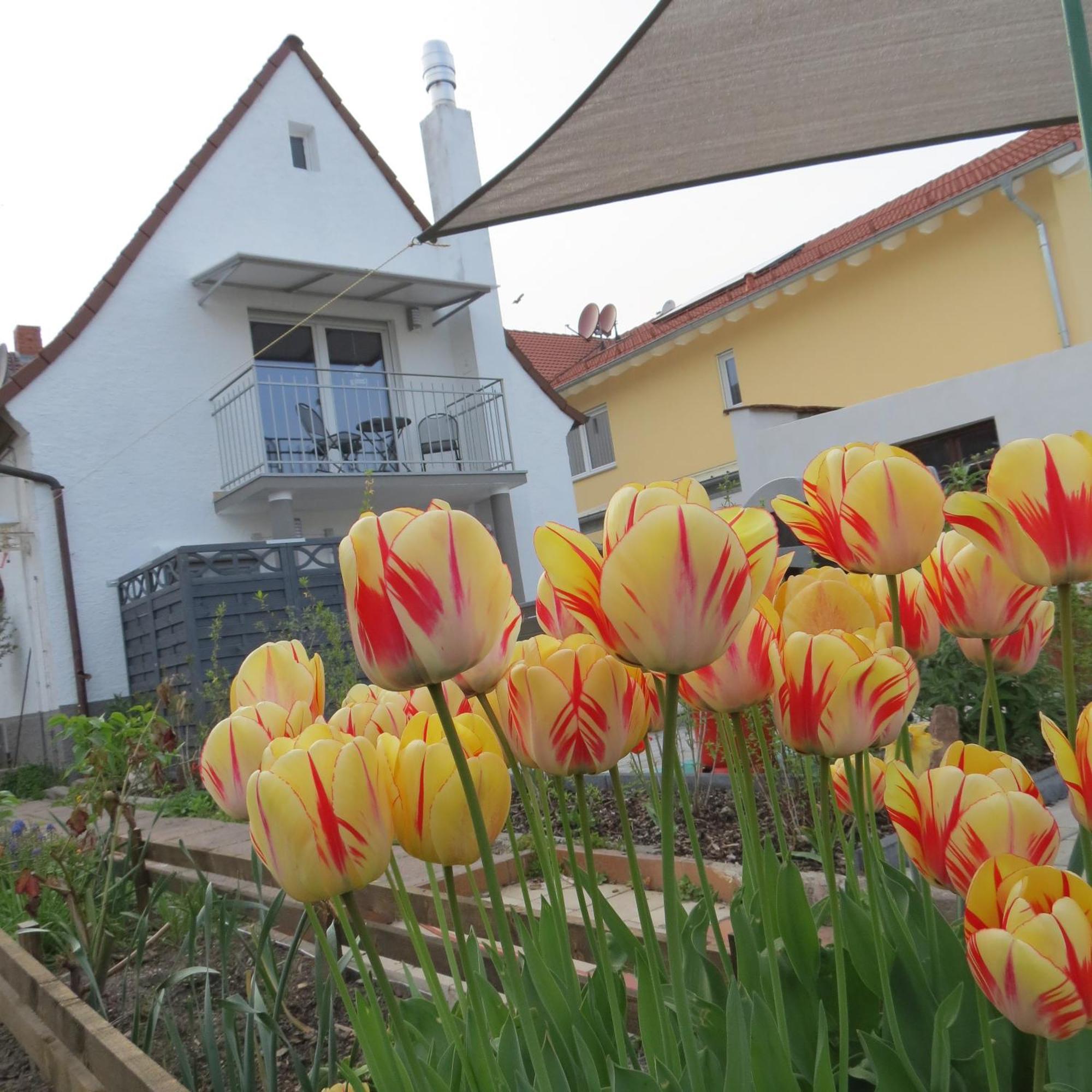 Ferienwohnung Spira House Exterior foto